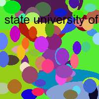 state university of new york